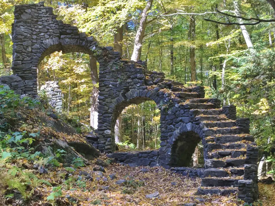 2_Madame Sherri Forest