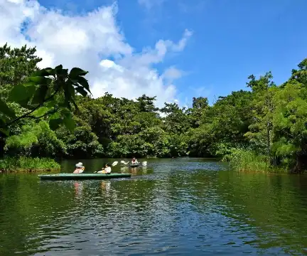Hotels near Bios Hill