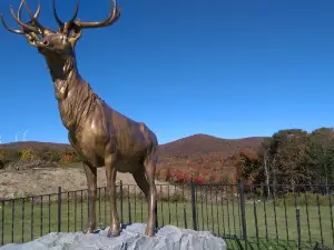 Hail to the Sunrise Park