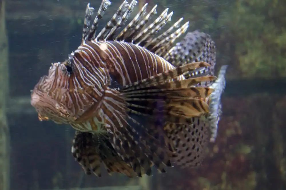 Hotels near Aquarium GEOMAR