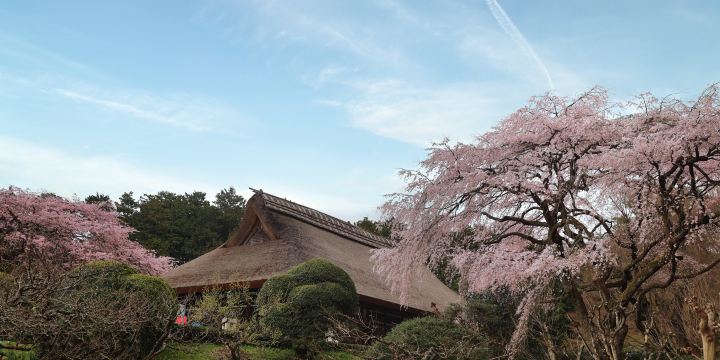 Chichibunomiya Memorial Park