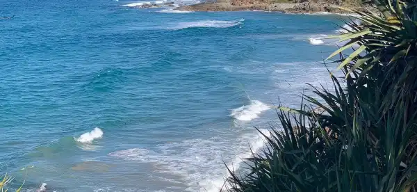 Hotels in Coolum Beach
