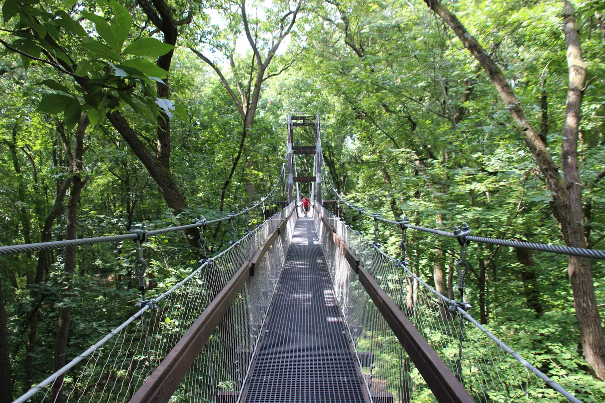 2_Hidden Lake Gardens