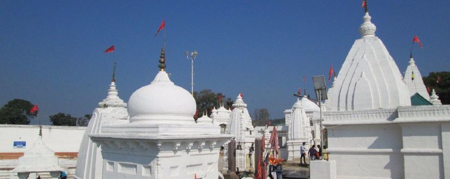Shahdol