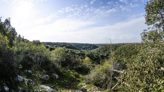 Martina Franca