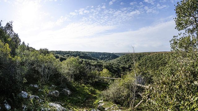 Bosco delle Pianelle Natural Reserve
