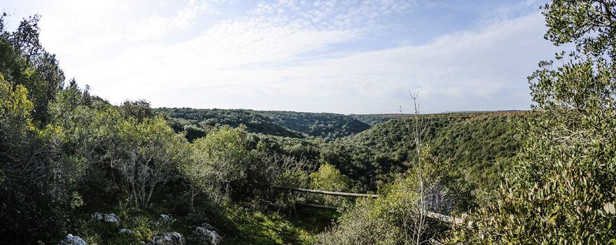 Bosco delle Pianelle Natural Reserve