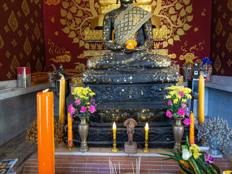 帕楚科里康