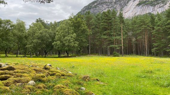 Haereid Iron Age Burial Site