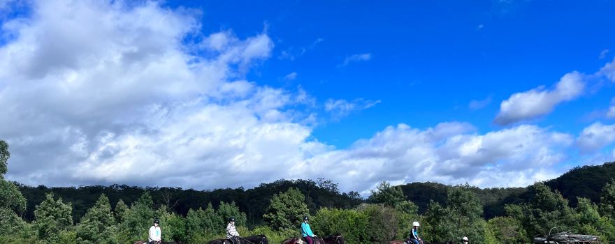 Chapman Valley Horse Riding