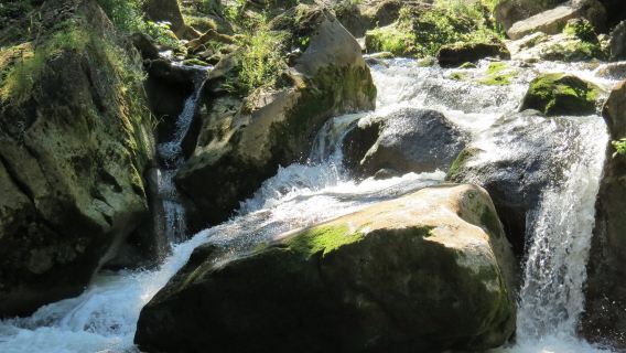Inglis Falls Conservation Area