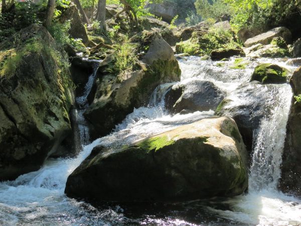 Inglis Falls Conservation Area