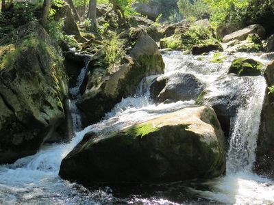 Inglis Falls Conservation Area