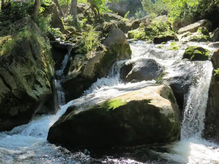 Hotels in Grey County