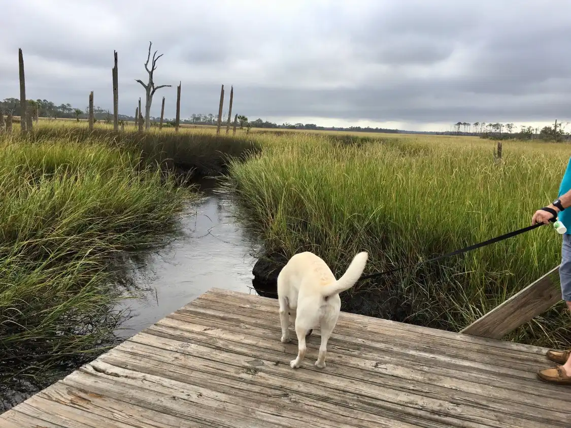 Hotels near Cradle Creek Preserve