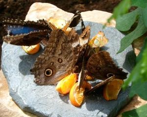 香港-格雷文馬赫 機票酒店 自由行
