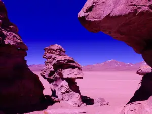 Arbol de Piedra