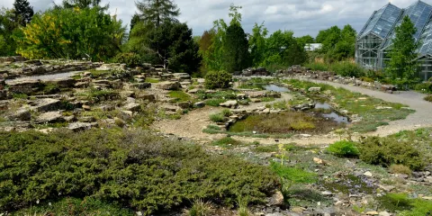 Botanischer Garten der Universitat Osnabruck