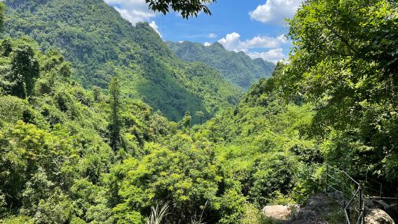Phong Nha Botanic Garden