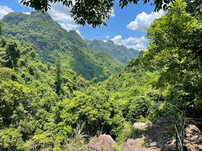 Phong Nha Botanic Garden