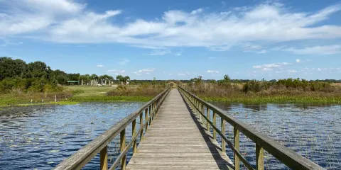 Twin Oaks Conservation Area