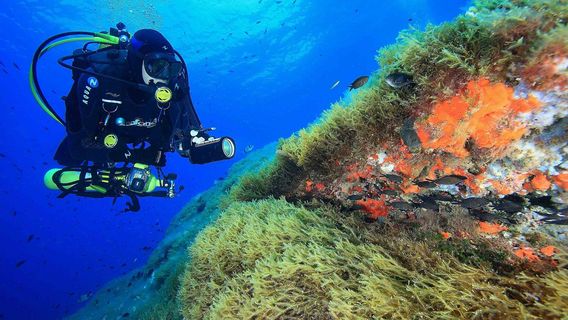 Mallorca Top Excursions & Activities