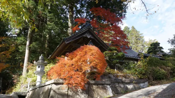 仲仙寺