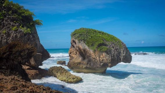 Survival Beach
