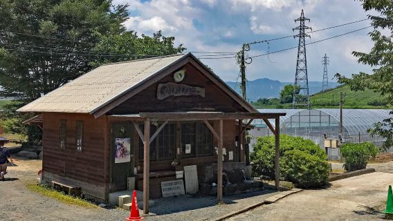 Yamandon ukinono fruit picking