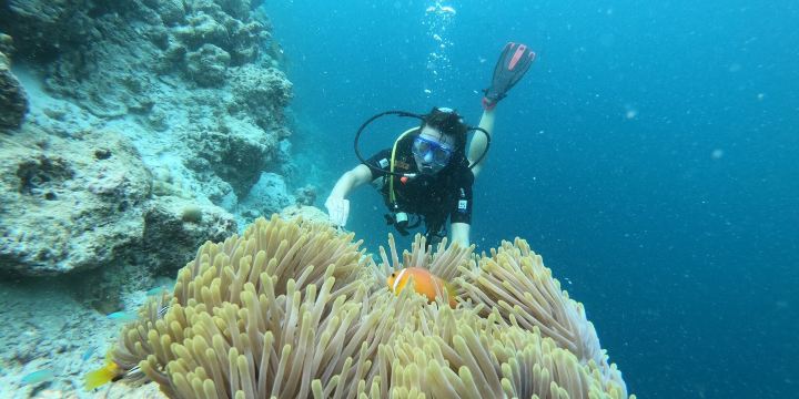 Sinai Dive Club Maldives