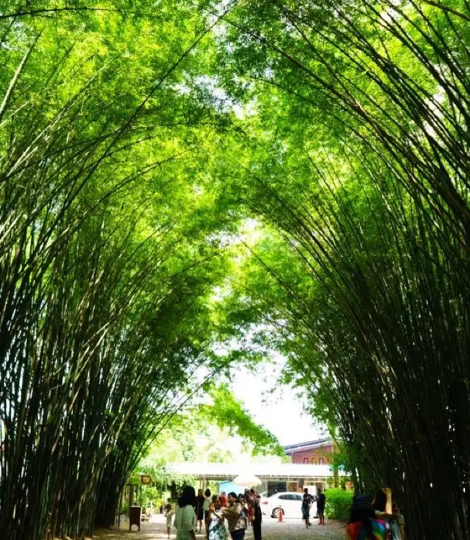 บ้านนา