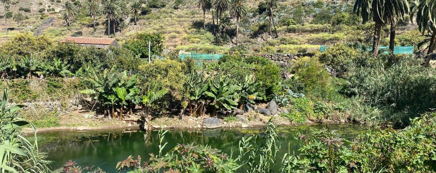Jardin Botanico del Descubrimiento de Vallehermoso
