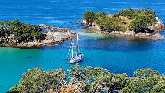 Windborne Charters