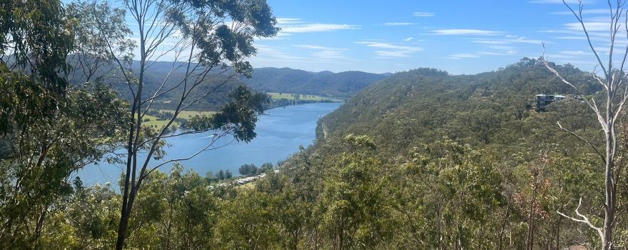Hawkins Lookout
