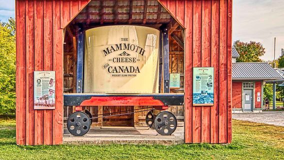 The Mammoth Cheese
