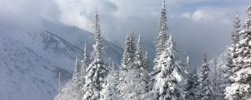 Baikal Nature Reserve