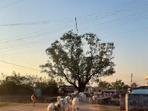 Paraswada Lake