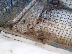 Tyumen Zoo