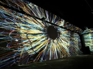 Phoenix des Lumières