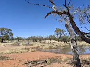 Artesian Mud Springs