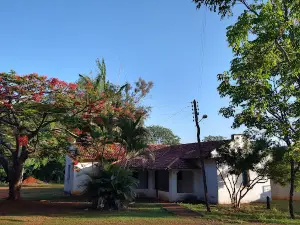 Paraopeba National Forest