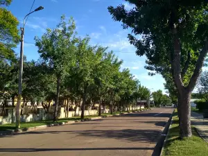 Plaza Constitución