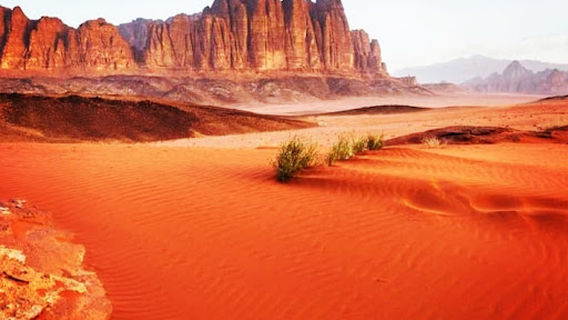 Wadi Rum Village