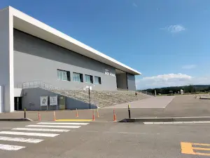 Nices Arena