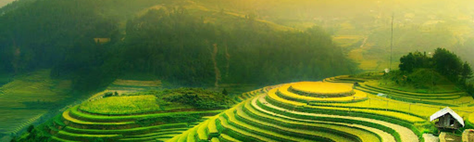 travel