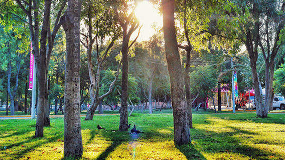 Departamento Deporte Adaptado, INDEREQ