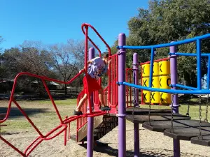 Falconer Park