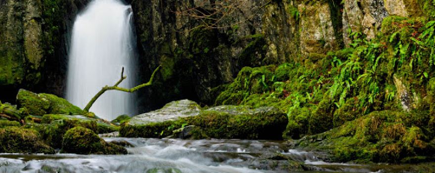Catrigg Force