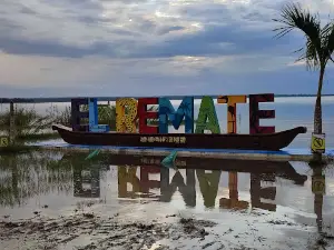El remate, flores