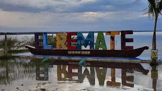 El remate, flores